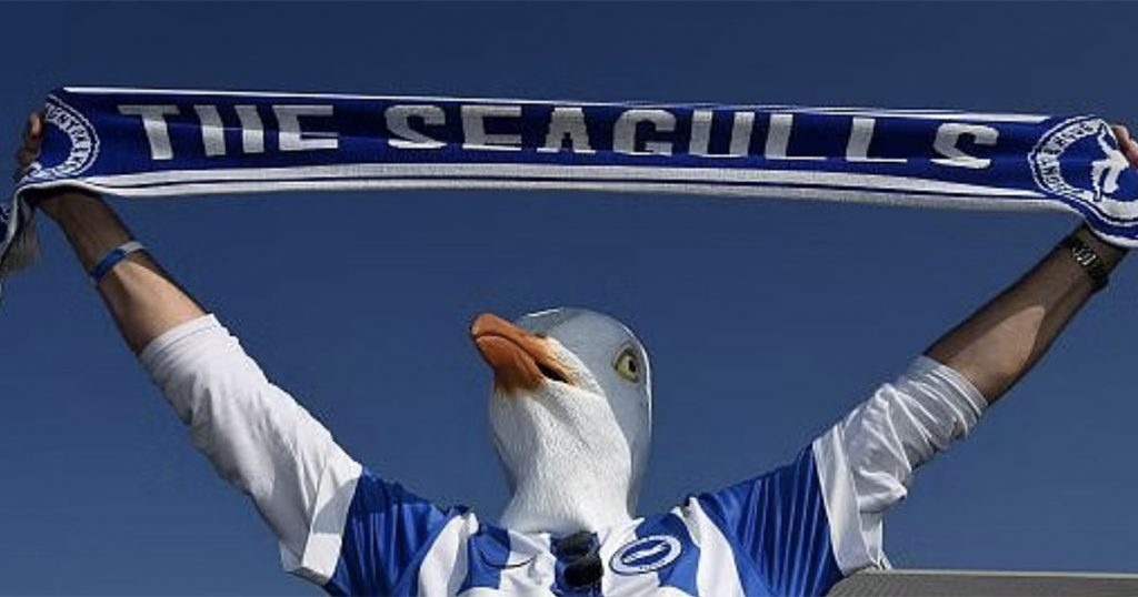 SEAGULLS