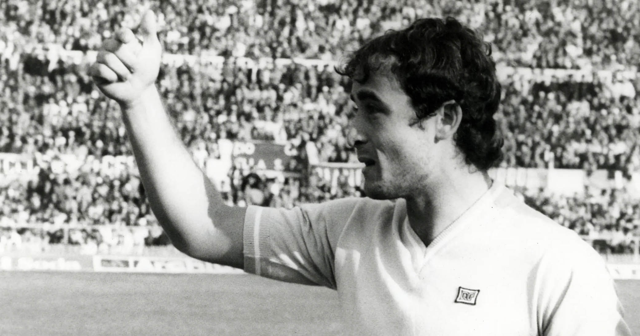 Vincenzo D'Amico